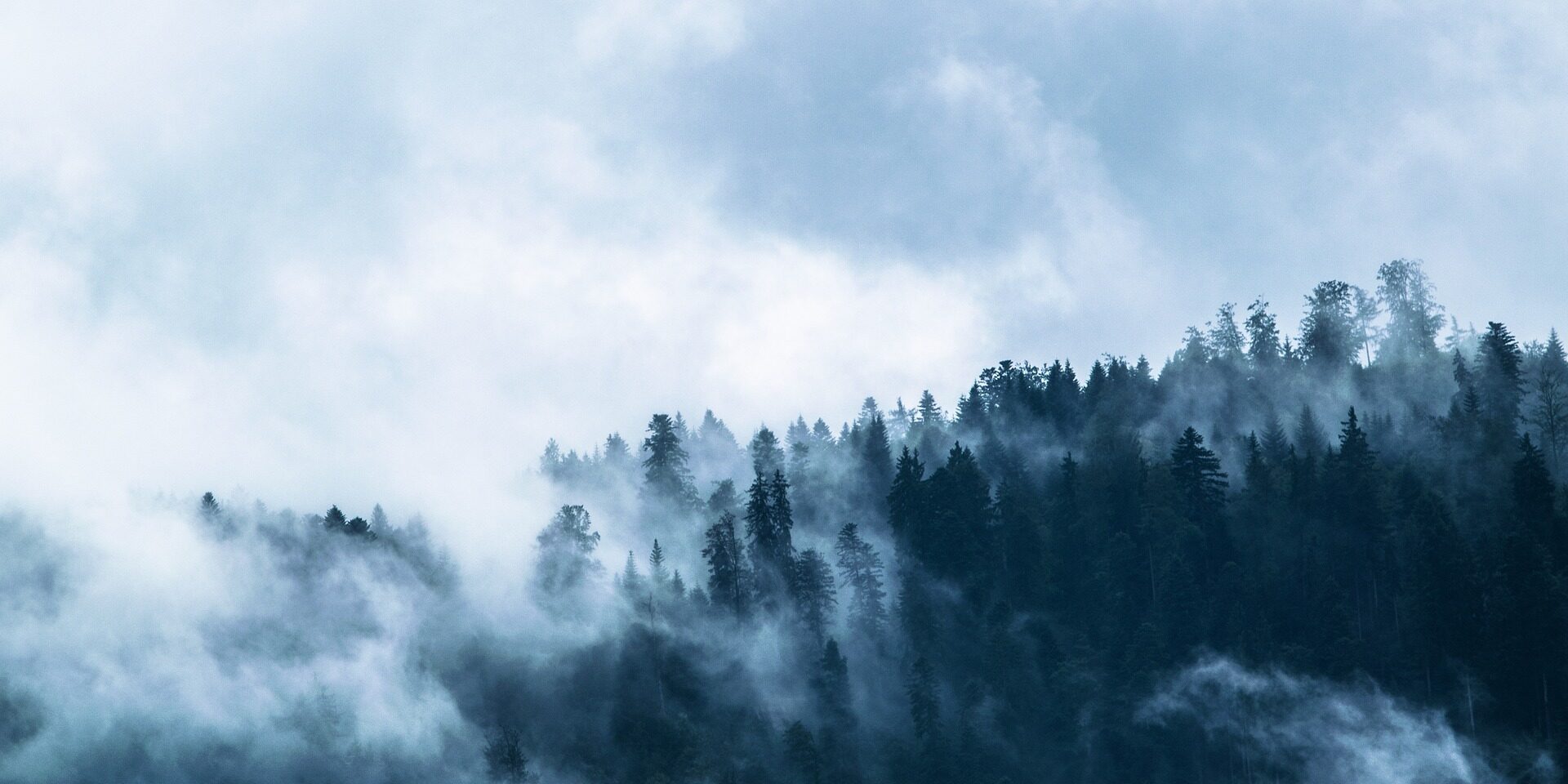 fog-1535201_1920